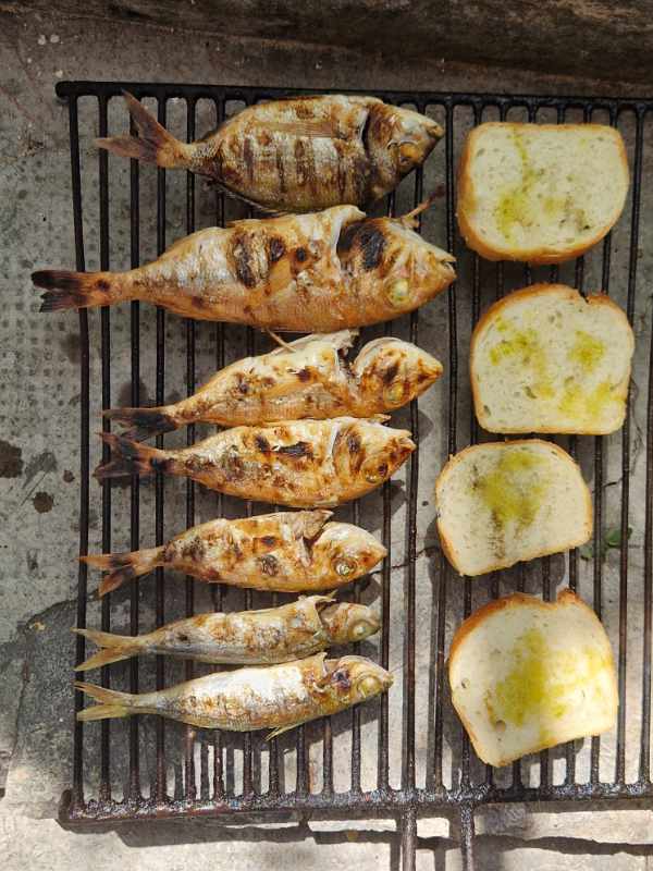 Frischen Fisch grillen